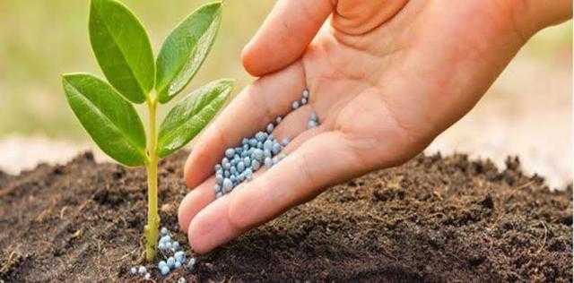 أسعار الأسمدة اليوم الجمعة في الأسواق