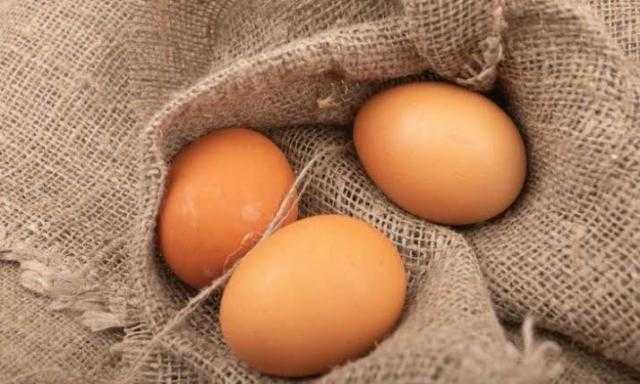 تعرف على سعر كرتونة البيض اليوم بالمزرعة