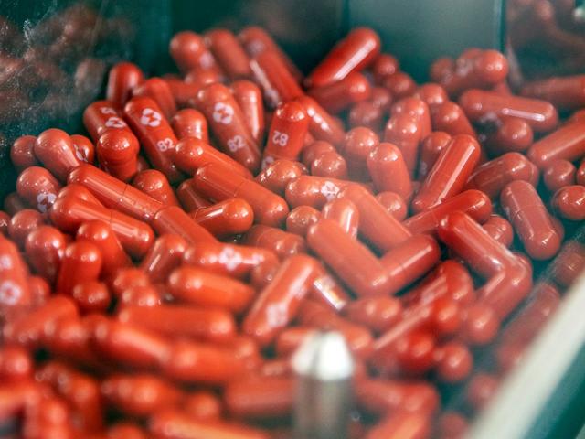 مستشار الرئيس للصحة يحذر من استخدام عقار ميرك في هذه الحالات (فيديو)