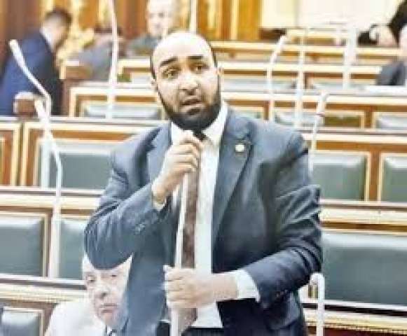 الدكتور محمود أبو الخير 