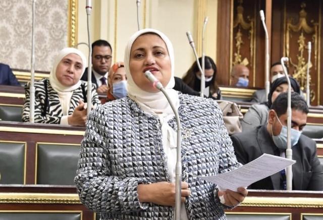 النائبة سناء السعيد