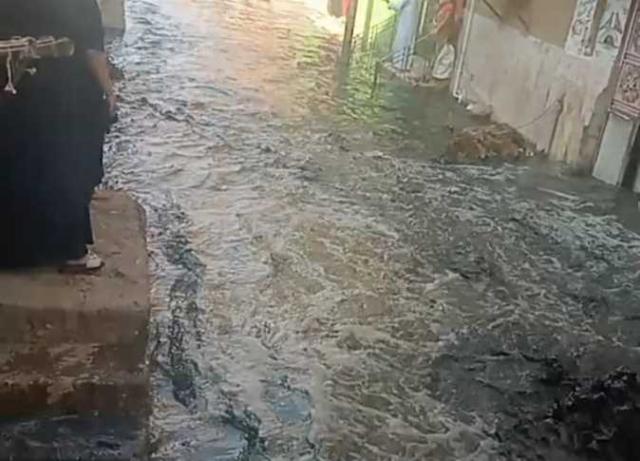 أرشيفية