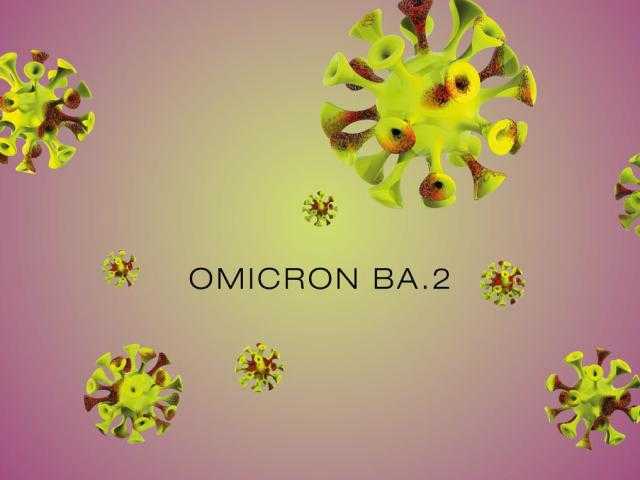 أستاذ مناعة يحذر: «الأوميكرون الخفي» هو الأكثر انتشارًا ويصعب اكتشافه مخبريًا