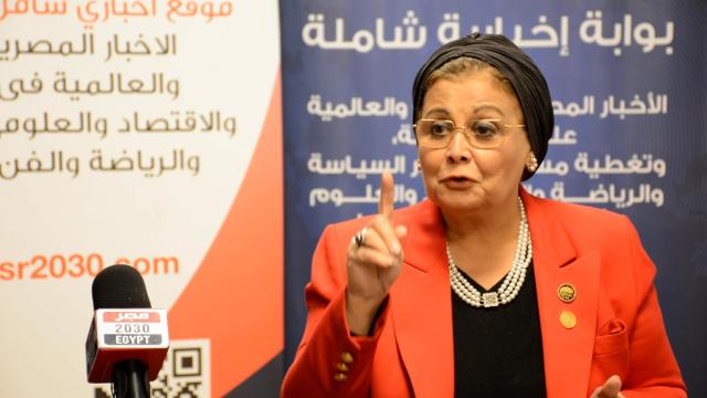 النائبة عبلة الألفى ، عضو لجنة الصحة بالبرلمان 