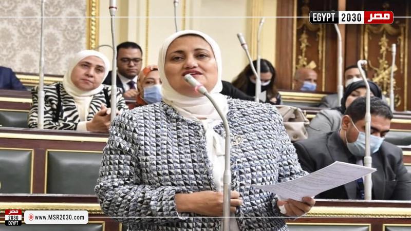 النائبة سناء السعيد