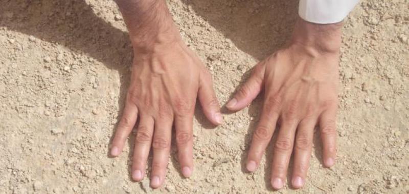 أرشيفية