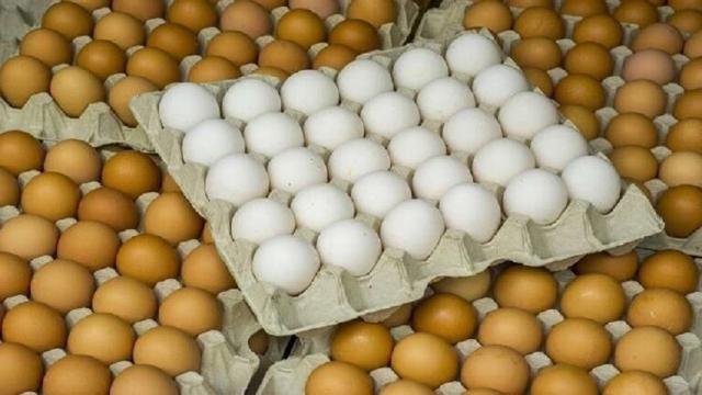 سعر البيض اليوم 