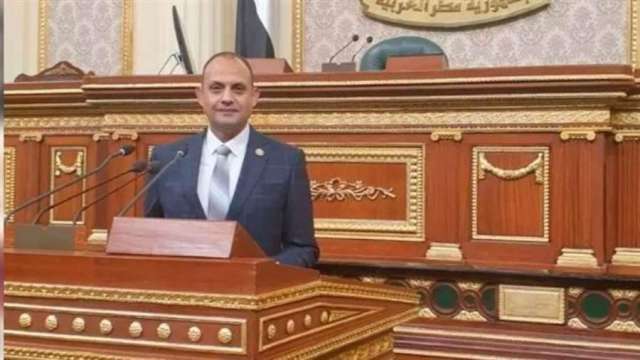 النائب هشام الجاهل
