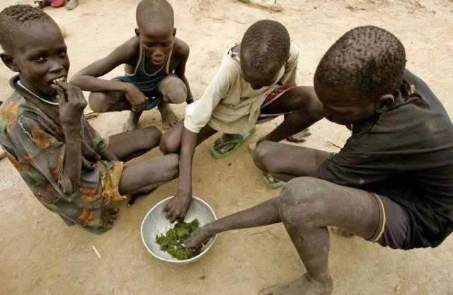 تقرير دولي: 281 مليون إفريقي يعانون من نقص الغذاء