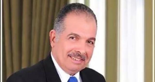 النائب عادل عامر