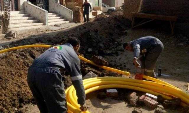 «أستاذ بترول»: توصيل الغاز الطبيعي للمنازل يفيد المواطن والدولة - فيديو