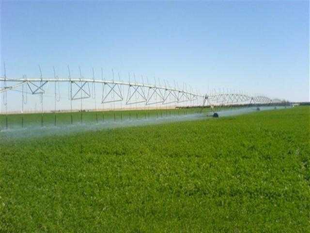 انتفاع 1667 شركة من التيسيرات المالية لمشروع الـ1.5 مليون فدان حتى الآن