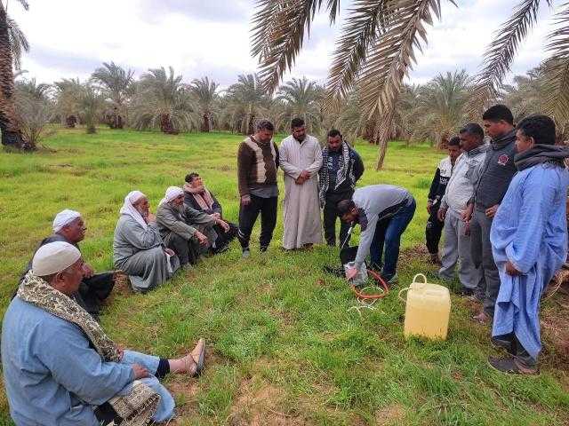 129 مدرسة حقلية للمحاصيل الشتوية والإنتاج الحيواني والاستزراع السمكي خلال يناير
