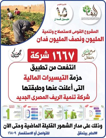 شركة الريف