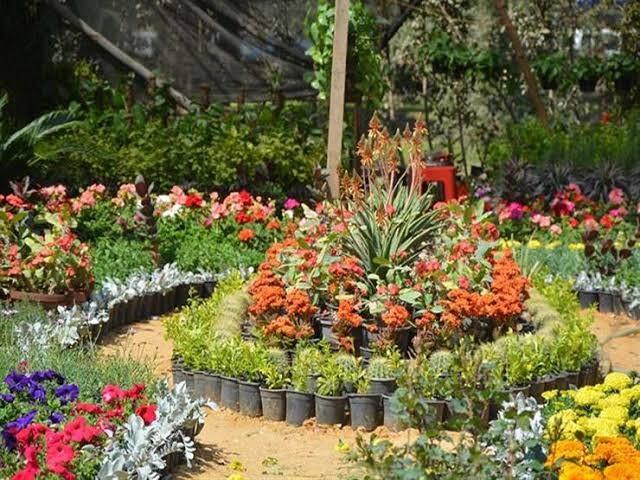 قبل إقامته..7 معلومات لاتعرفها عن معرض الزهور