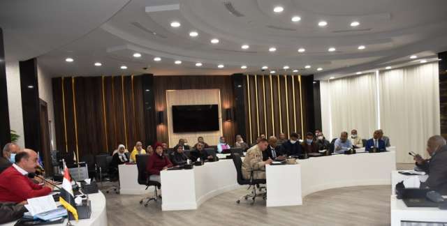 محافظ أسوان