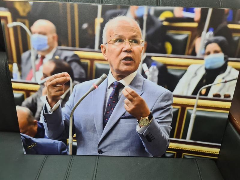 النائب السيد شمس الدين