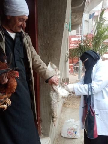 صورة من الحملات