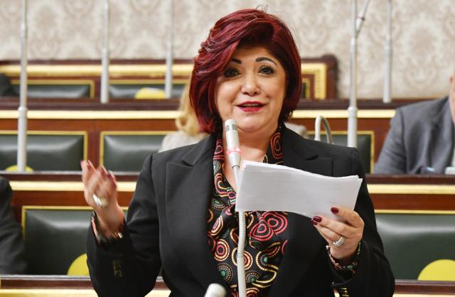 رئيس لجنة السياحة والطيران بمجلس النواب