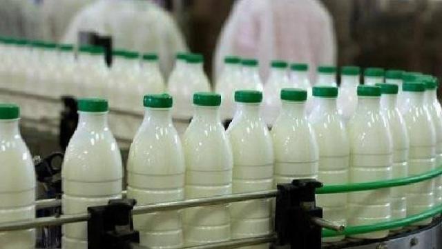 معهد تكنولوجيا الأغذية ينظم ندوة حول المثلجات اللبنية منخفضة السعرات الحرارية