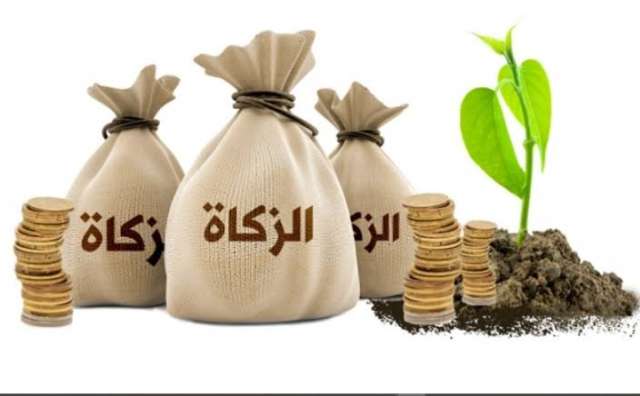 زكاة المال 