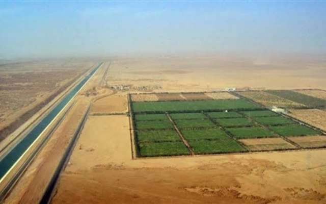 الزراعة