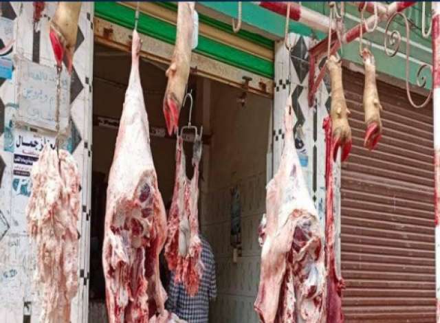 حملة تموينية مكبرة بالدقهلية