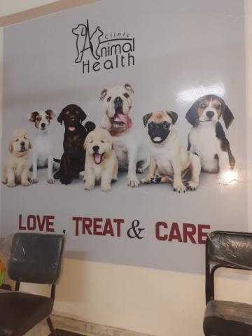 غلق عيادة بيطرية غير مرخصة بقنا خلال حملة مكبرة