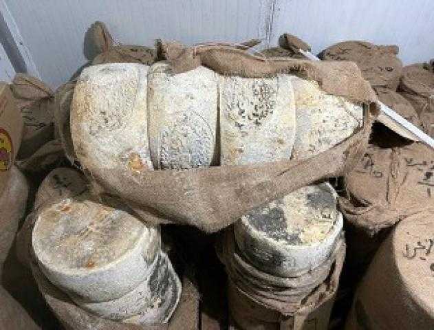 ضبط نصف طن جبنة رومي فاسدة داخل سوبر ماركت قبل بيعها للمواطنيين بالإسكندرية