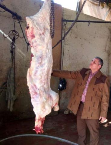 صورة من الحملة