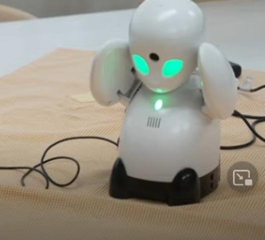 شاهد روبوتات ناطقة لمحاربة الوحدة والعزلة.. تفاصيل