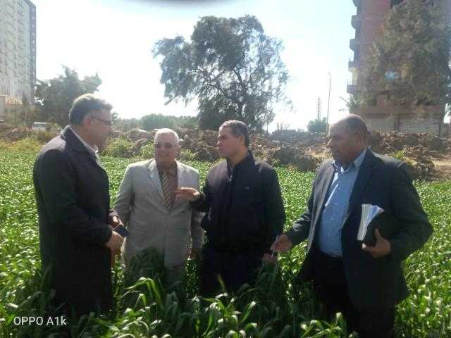 «الزراعة»: جولات تفقدية لمتابعة المحاصيل الشتوية في الشرقية