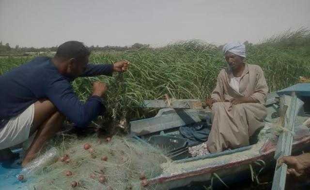 «المطاهرة القبلية»| الأولى في انتاج الأسماك بالمنيا.. والصيادون: نستخدم الوسائل الآمنة (صور)