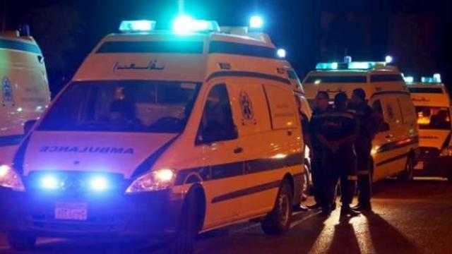 عاطل يقتل والده وزوجته ويصيب والدته وشقيقته وزوجها في قنا