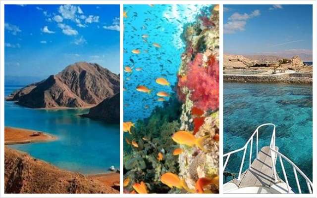 المحميات الطبيعية