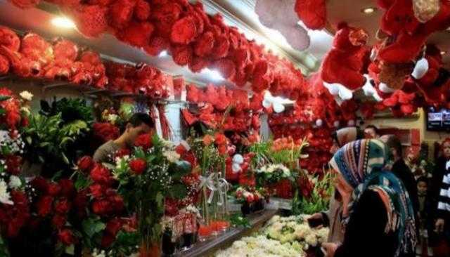 على الأفيال.. زوجان يحتفلان بعقد قرانهما في عيد الحب «فيديو»