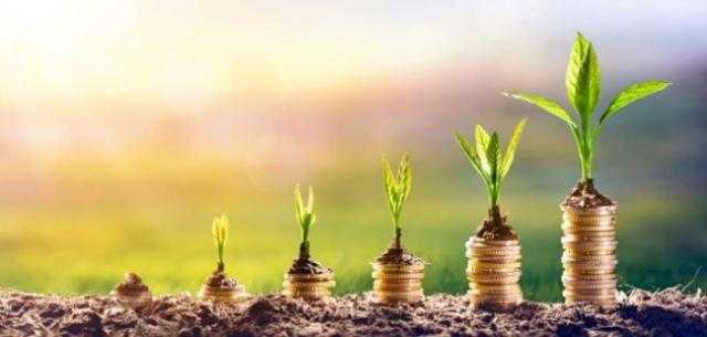 في 4 حالات.. تخصيص نسبة من أرباح المستثمر لإنشاء نظام التنمية المجتمعية