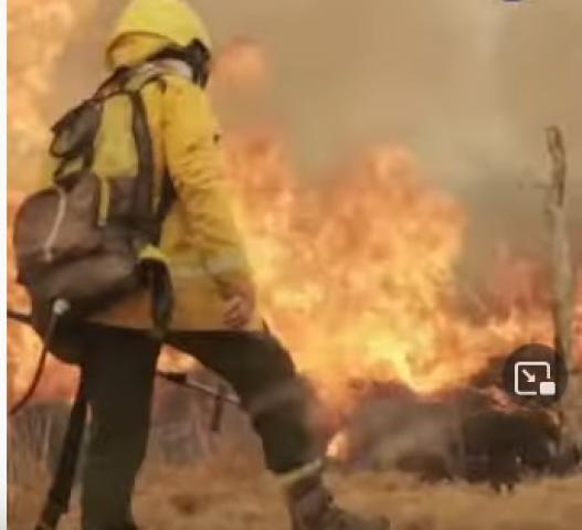 دون خسائر بشرية.. 6 حرائق ضخمة تلتهم غابات الأرجنتين