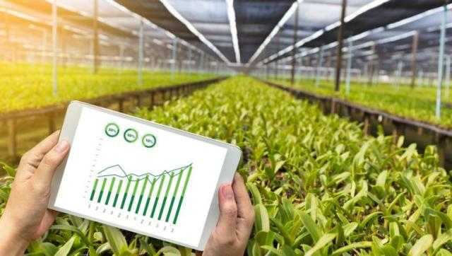 مسؤول:  35 مليار دولار تكلفة تحويل الزراعة المصرية إلي ذكية