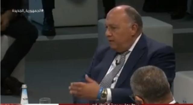 شكري: كورونا أثبت أهمية التعاون بين الدول.. وندرك التنوع في التحديات التي نواجهها