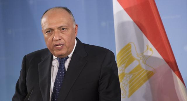 سامح شكرى وزير الخارجية المصري