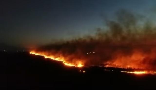 شاهد.. حرائق الغابات في الأرجنتين تقضي على 9% من مساحتها