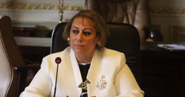النائبة ميرفت الكسان ، عضو لجنة الخطة والموازنة بالبرلمان 