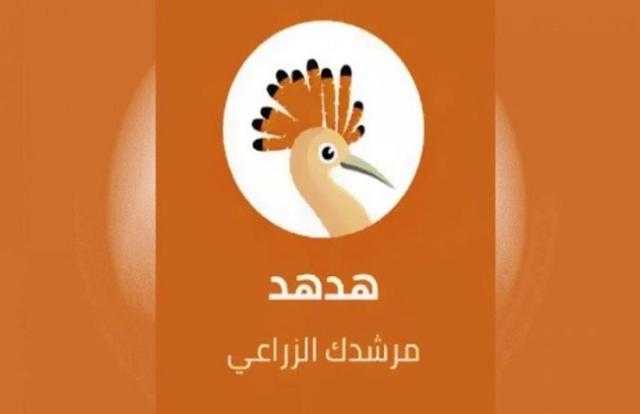 للمزارعين.. تعرف على مزايا تطبيق «هدهد»- فيديو