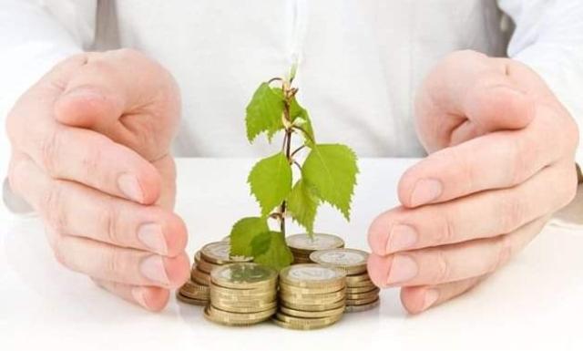 شروط وضوابط إنشاء المناطق الاستثمارية المتخصصة
