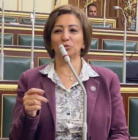 برلمانية ترفض تعديلات قانون التصرفات العقارية: يجب تخفيض نسبة الضريبةلـ1%