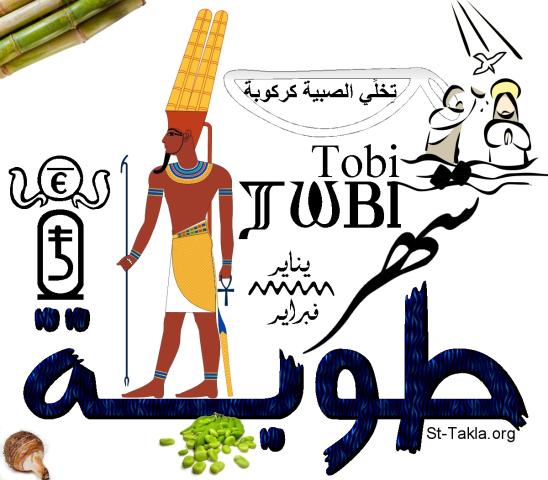 شهر طوبة