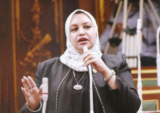 النائبة/ سولاف درويش، وكيل لجنة لجنة القوى العاملة بالبرلمان