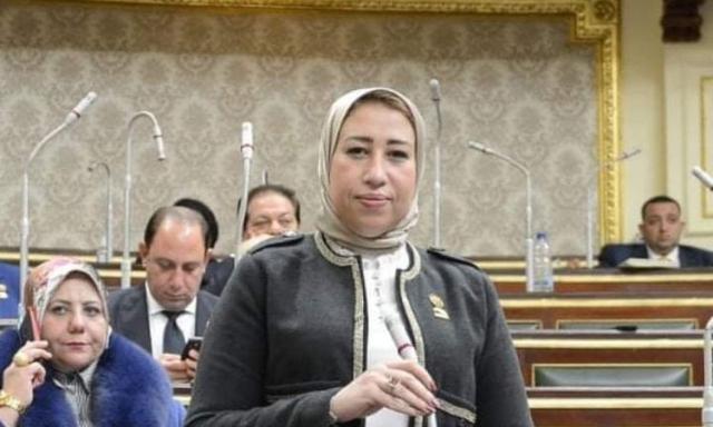النائبة/ منى عبد الله، عضو مجلس النواب
