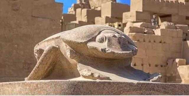 ”يُجلب الحظ ويحمي البيئة”... تعرف على حكاية أشهر رمز تاريخي عند المصريين القدماء